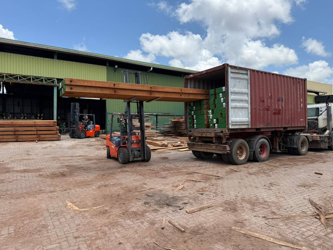 Laden van een exportcontainer met hout op het terrein in Paramaribo